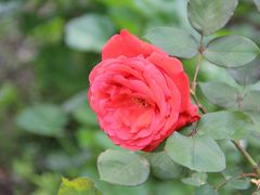 -南京金牛湖风景区