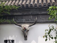 -慢丽江·云南野生菌土鸡锅(付家庄店)