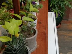 -铃木食堂(帽儿胡同店)