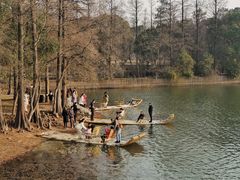 -东湖落雁景区