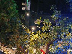 -绿茶餐厅(燕郊永旺店)