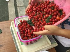 -樱桃山旅游景区