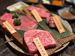 -老乾杯(深圳湾万象城店)