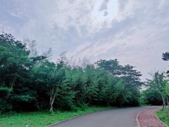 -西海岸生态观光园