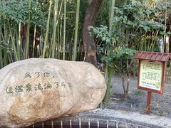 -观唐（国际）度假村温泉