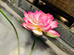 -徽镇小厨·经典徽菜(十里河店)