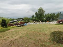 -铁山坪森林公园