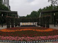 -温江公园