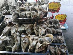 -蚝专家(北滘店)