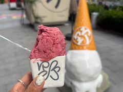 -野人先生现做冰淇淋(北京环宇荟店)