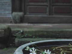 -宁波市保国寺古建筑博物馆