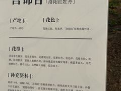 -太阳宫公园