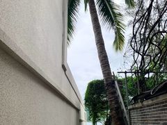 -后海村