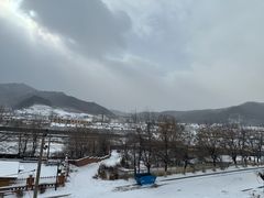 -横道河子东北虎林园