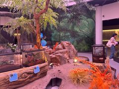 -陕西自然博物馆