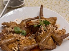 -百利鸽王(紫薇路店)