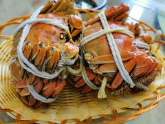 阳澄湖大闸蟹-蟹天蟹地农家菜·阳澄湖大闸蟹(浅水湾店)