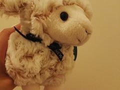 -怀托摩萤火虫洞