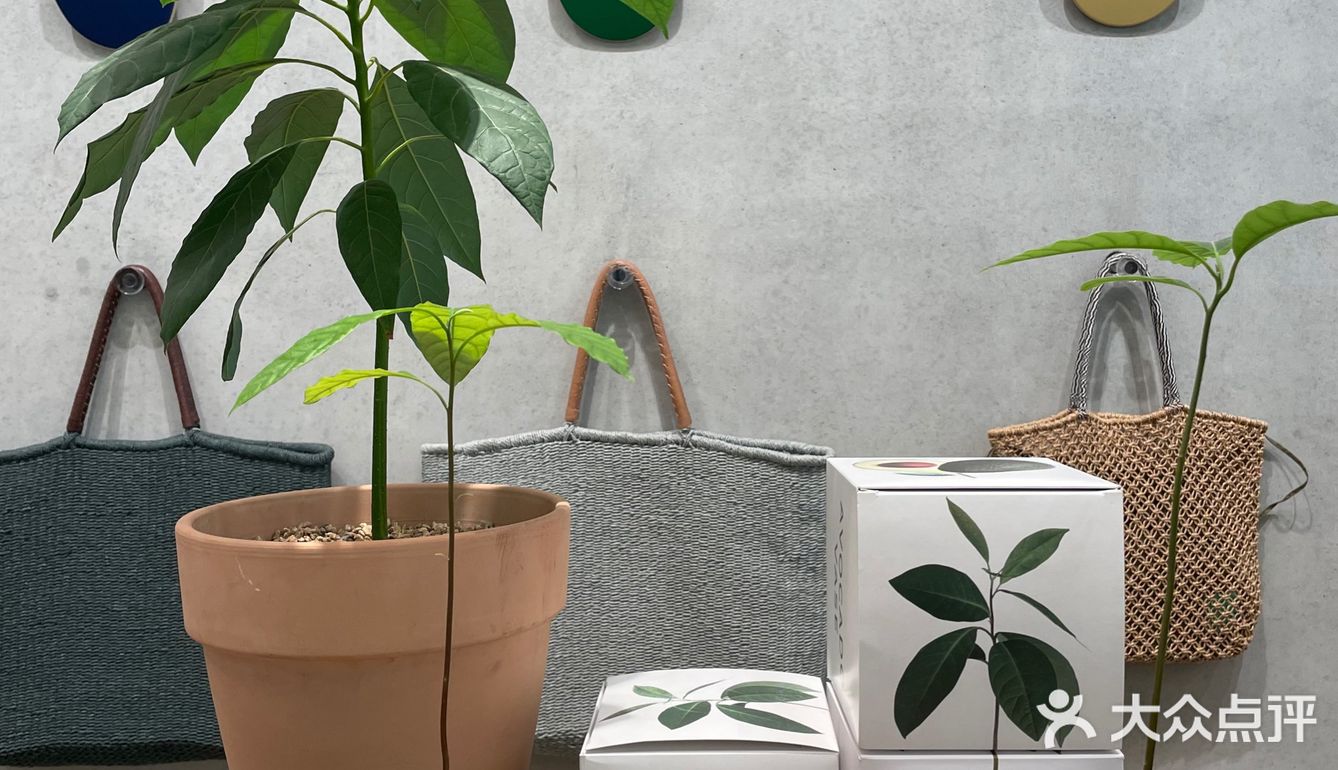 ❗️网红天目里不用人挤人了👀