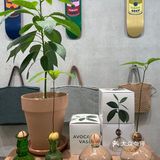 ❗️网红天目里不用人挤人了👀