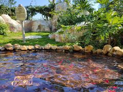 -惠州金海湾嘉华度假酒店