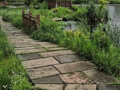-杭州湾海上花田景区
