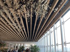 大堂-Seesaw Coffee(朝阳大悦城店)