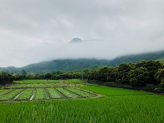 -碧水湾温泉