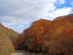 -光雾山旅游景区