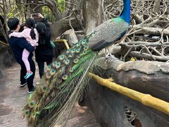 -长鹿旅游休博园