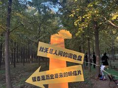 -汉景帝阳陵博物院