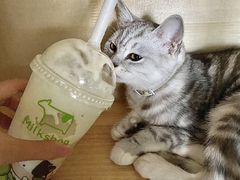 -迷客夏Milksha(无锡苏宁店)