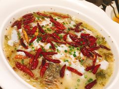 -首秀·四川料理(星耀101店)