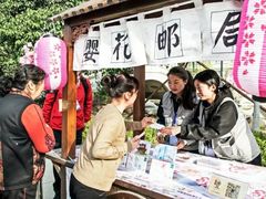 -西安青龙寺遗址景区