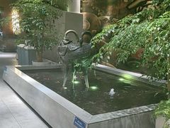 -大渔之观(安贞店)