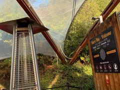 -怀托摩萤火虫洞