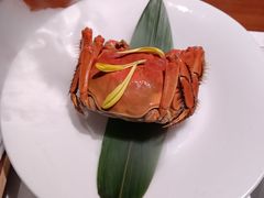 -觀芷隐轩