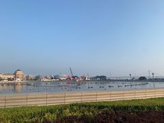 -大连星海广场音乐喷泉
