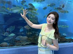 -合肥海洋世界