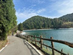 -武陵山森林公园