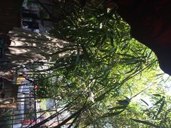 芳满庭海派菜1912店-芳满庭·江浙小馆(1912店)