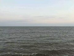 -上海棕榈滩海景酒店