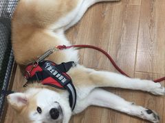 -YCHL Studios健身工作室(市二宫店)