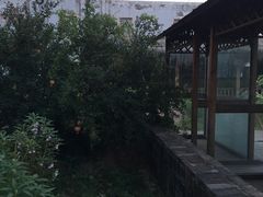 -丹江渔村(首都机场店)