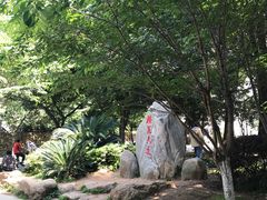 -武汉大学-樱园