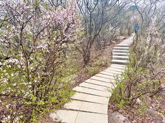 -棋盘山风景区