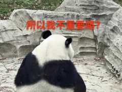 -武汉动物园