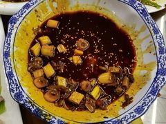 -龙翔山庄雷鸡肉(青城后山泰安古镇店)