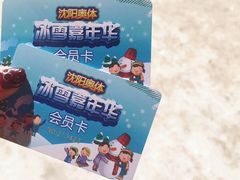 -沈阳奥体冰雪嘉年华