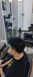 -YESIDO椰岛造型